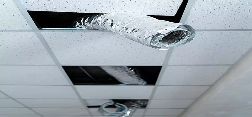 Our Air Duct Pet Hair Removal Services in Onalaska, WI