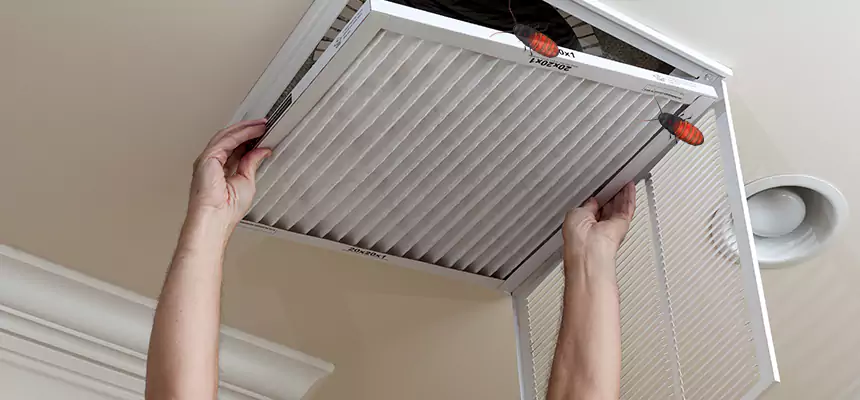 Our Insect Removal from Air Ducts Services in Onalaska, WI