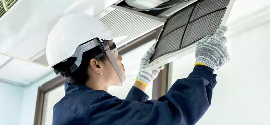 Our Mold & Mildew Removal from Air Ducts Services in Onalaska, WI