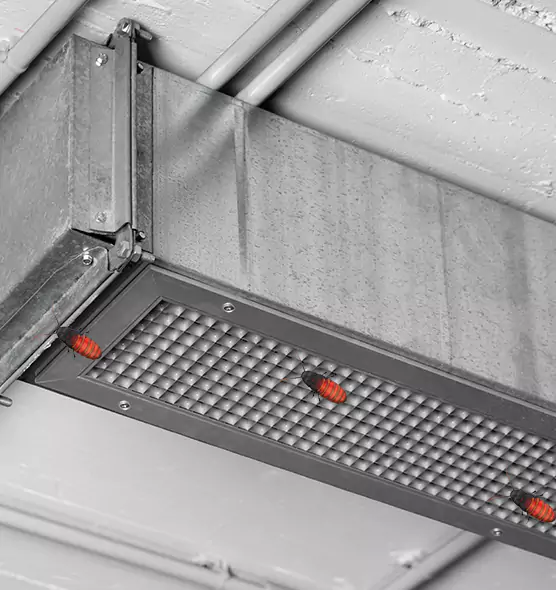 About Air Duct Cockroach Removal in Onalaska, WI