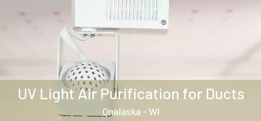  UV Light Air Purification for Ducts Onalaska - WI